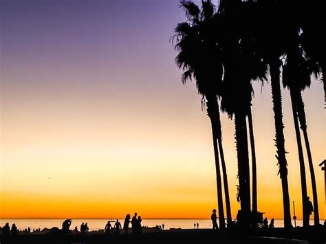 Venice Beach Sunset Wallpapers On Wallpaperdog