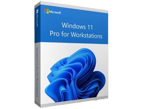 Windows 11 Pro For Workstations For 5 Pcs Softwaredigitaldownload