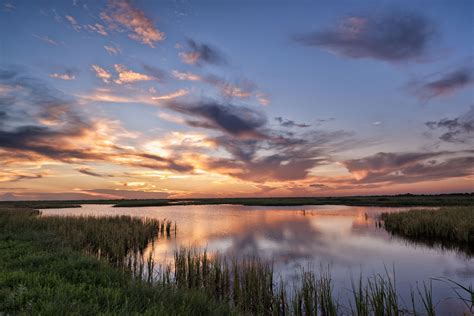 We did not find results for: Brazoria National Wildlife Refuge