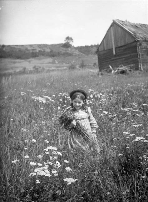 Girl In A Field Of Daisies Vintage Antique Photos Vintage Photos