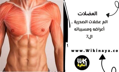 الم عضلات الصدرية