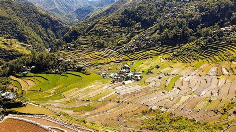 Rice Terraces Philippines Banaue Mountains Ethnology Agriculture