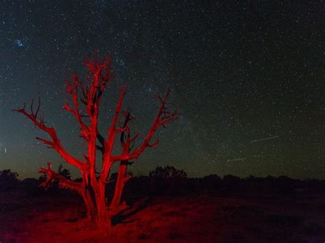 Torrey Earns Utahs First International Dark Sky Community Designation