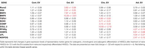 Quia Msl Cells Review