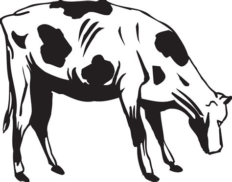 Clipart Cow Livestock Clipart Cow Livestock Transparent Free For