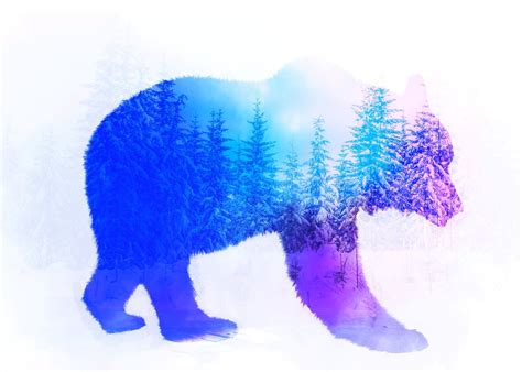 Bear Double Exposure Poster By Noer Thoif Displate