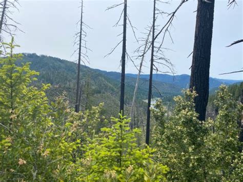 2023 Best 10 Camping Trails In Rogue Riversiskiyou National Forest
