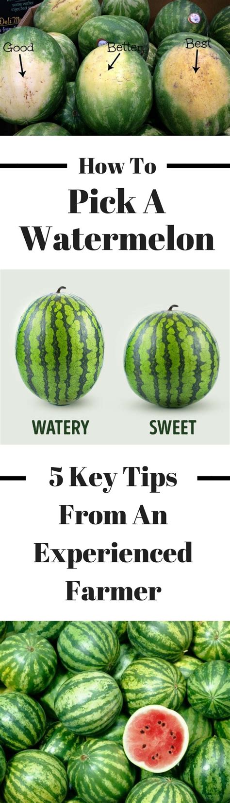 You can't judge a book by the cover. 5 Key Tips To Pick The Perfect Watermelon