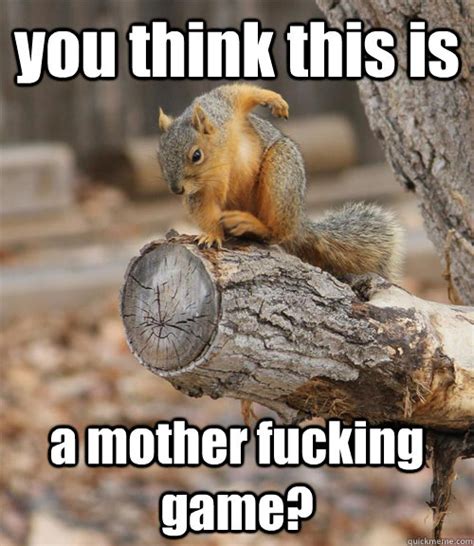 19 Funniest Squirrel Meme That Make You Smile Memesboy