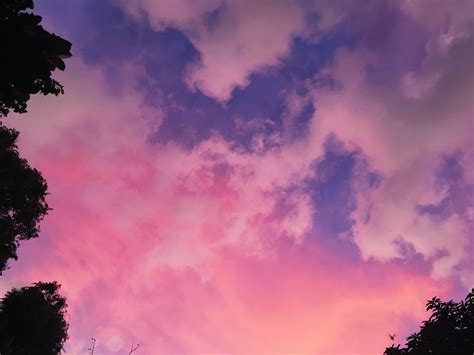 Cotton Candy Sunset Sky Pink Clouds Pretty Sky Sunset Sky