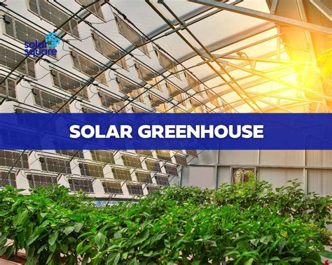 What Is A Solar Greenhouse Its Working Advantages And Disadvantages