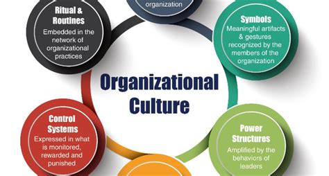Organizational Culture And Its Types