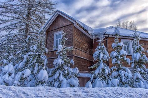 Wooden Cottage Snowy In Winter And Trees In The Snowfall Stock Photo