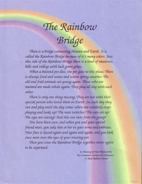 Rainbow Bridge By Spyroflame09 On Deviantart