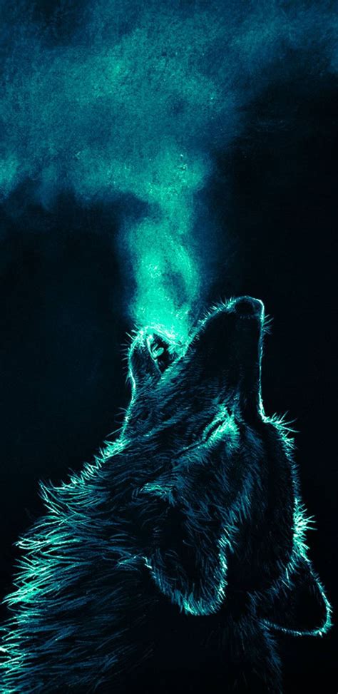 Two black and white wolves wallpaper, wolf, couple, animal, animal themes. Pin von Peggy Schulze auf Huskys in 2020 | Wolf ...