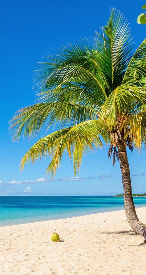 Bridgetown Barbados With Pristine Beaches Widely Acknowledged To Be