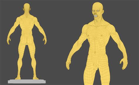Webmd's prostate anatomy page provides detailed images, definitions, and information about the prostate. Male Anatomy Ecorche 3D Model OBJ ZTL | CGTrader.com