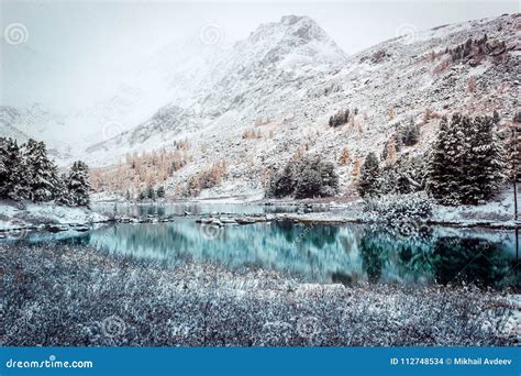 Turquoise Surface Of The Mountain Lake Stock Photo Image Of Beautiful