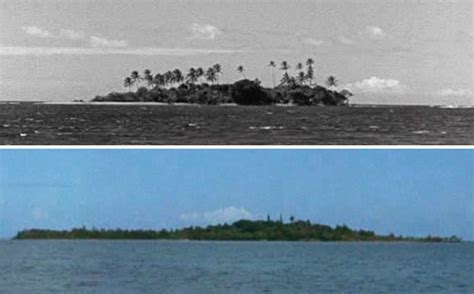 The Island Gilligans Island Wiki Fandom