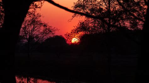 Wallpaper Sunset Dusk Dark Outlines Trees Water Reflection Hd