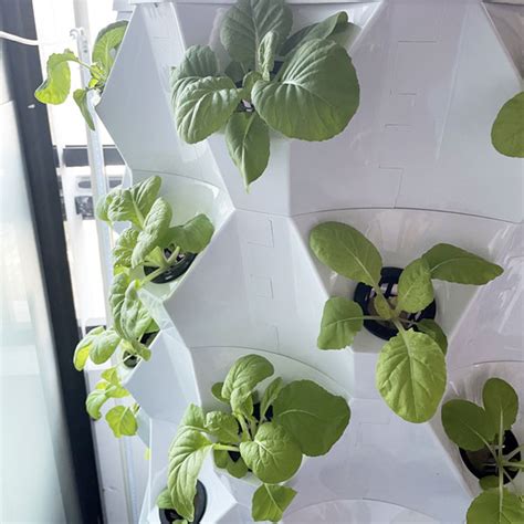Aeroponic Tower For Sale Vertical Aeroponic Growing System Hc