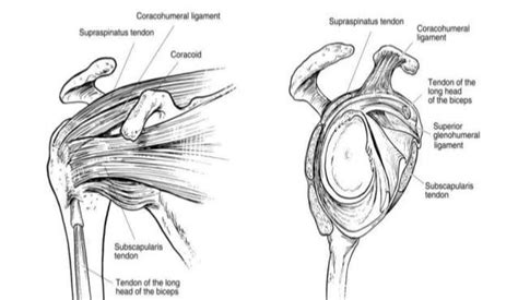 What To Expect After Your Shoulder Arthroscopy And Rotator Cuff Repair