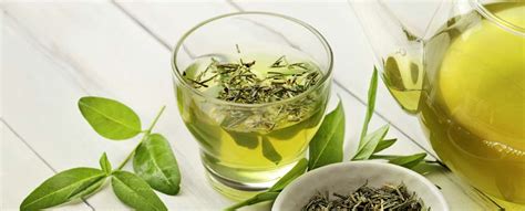 de 10 krachtigste voordelen van groene thee 4 is het leukst