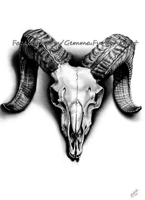 Ram Skull Rams Head Drawing Tattoo Idea Animal Skull Tattoos Skull