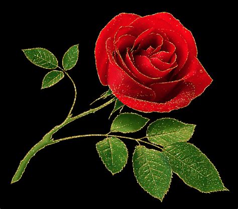 Decent Image Scraps Rose Animation 94th Birthday Rosé  Single Red