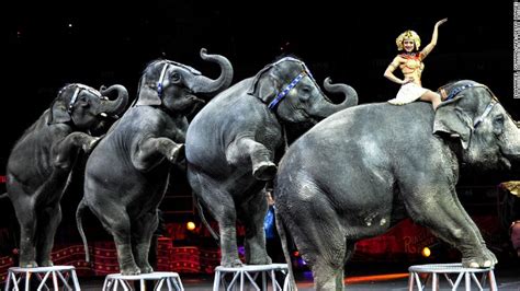 Ringling Bros To Phase Out Elephants From Circus Shows