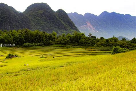 Beauty of Vietnam countryside | Momentlives - Vietnam photography tour