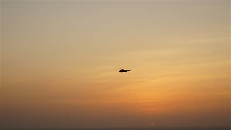 Free Images Sea Horizon Bird Wing Cloud Sky Sun Sunrise
