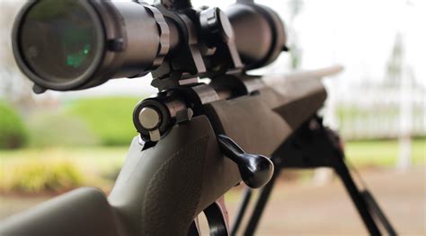 Guide To Choosing The Best Rifle Calibers For Deer Hunting