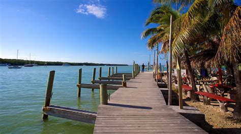 10 Top Things To Do In Key Largo 2022 Activity Guide Expedia
