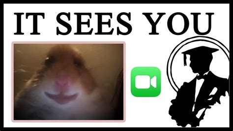 What Is The Creepy Hamster Looking At Lessons In Meme Culture Youtube