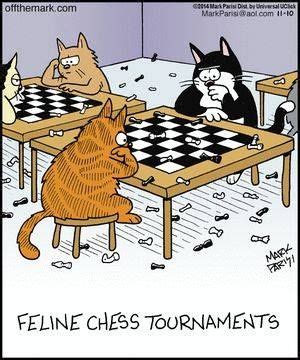 Changed the way you play social games on the net, arenaxtreme! Feline chess tournaments. Just push it off the corner of ...
