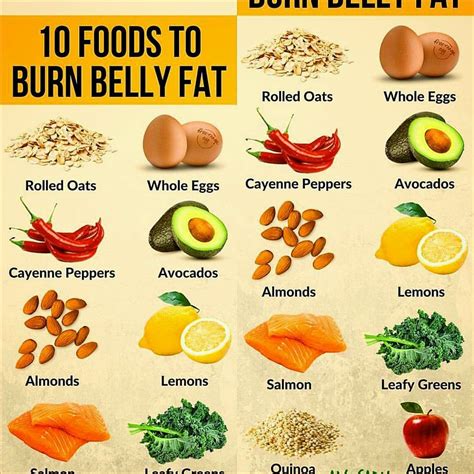 Best Foods To Burn Stomach Fat