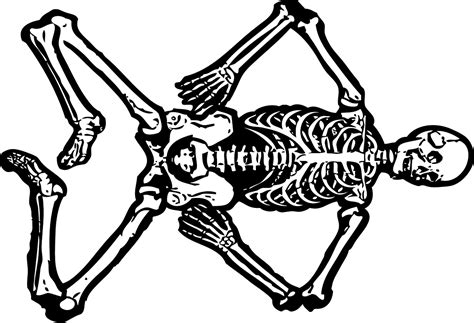 Skeleton Dead Skull Free Vector Graphic On Pixabay