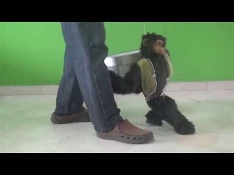 Best Marionette Monkey Act YouTube