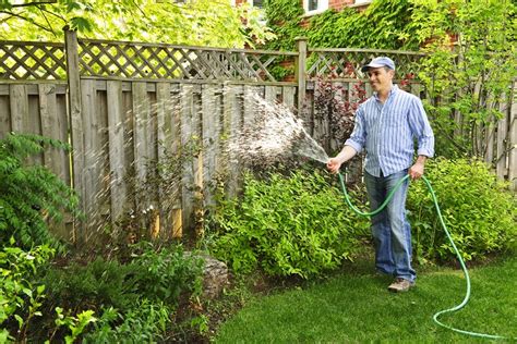 Lawn Watering The Ultimate Guide To Proper Lawn Watering