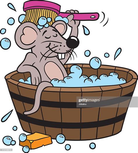 Mouse Clean Bath High Res Vector Graphic Getty Images
