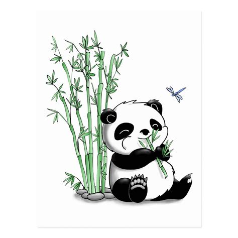 Panda Eating Bamboo Postcard Zazzle Cartoon Drawings Cute Panda