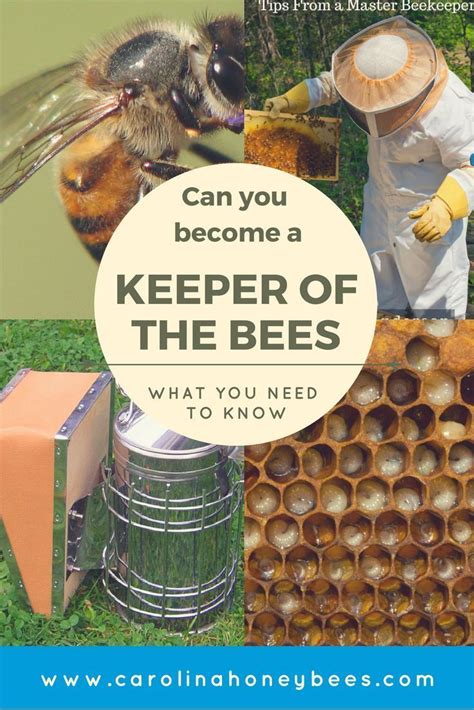 A Beginners Guide To Beekeeping Book Bee Keeping Beekeeping Books