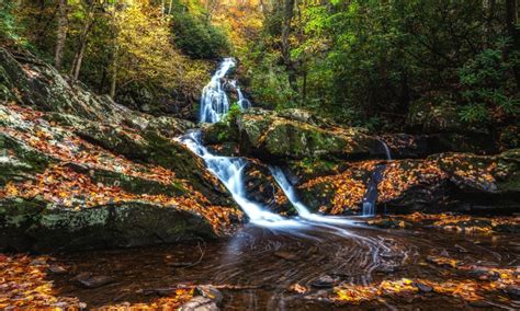 Cropped Nature Smoky Mountains National Park Gray Smoki Mauntins Park