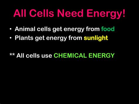 Using oxygen helps cells to get more energy per sugar moleclule energy. PPT - Photosynthesis PowerPoint Presentation, free ...