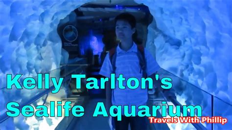 Kelly Tarltons Sealife Aquarium Auckland New Zealand Youtube