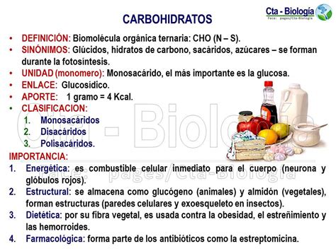 Biología didáctica NSC BIO Carbohidratos