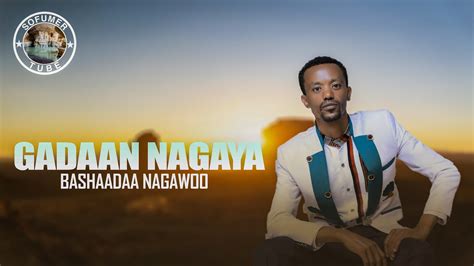 Bashaadaa Nagawoo New Afaan Oromoo Ethiopian Music Official Video