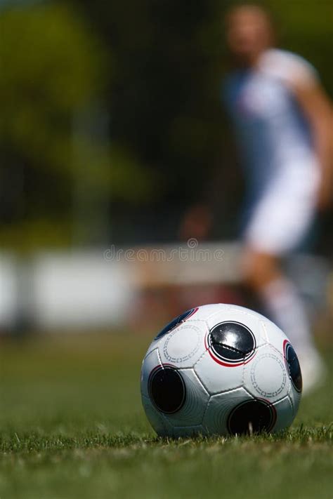 Soccer Ball On Field Stock Photo Image Of Teammate Lawn 5635188