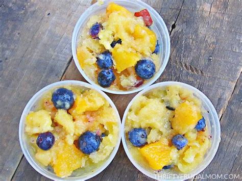 Frozen Fruit Cups Recipe Thrifty Frugal Mom
